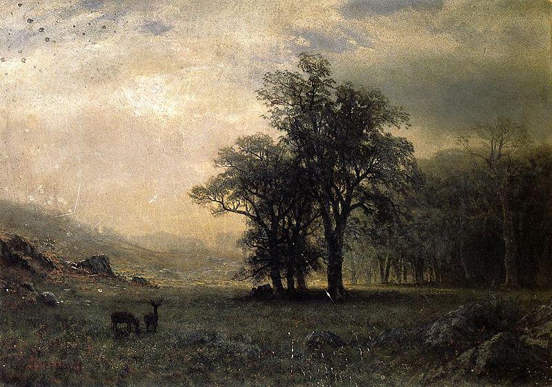 Albert Bierstadt The Open Glen, New England